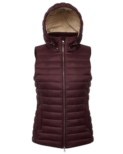 Damson coloured LeMieux Womens Rose Hooded Puffer Gilet on white background 
