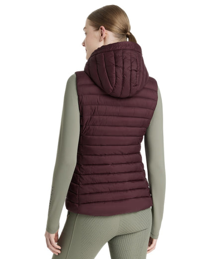Damson coloured LeMieux Womens Rose Hooded Puffer Gilet on white background 