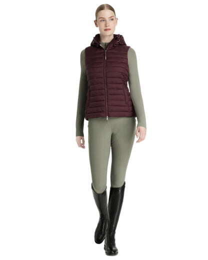 Damson coloured LeMieux Womens Rose Hooded Puffer Gilet on white background 
