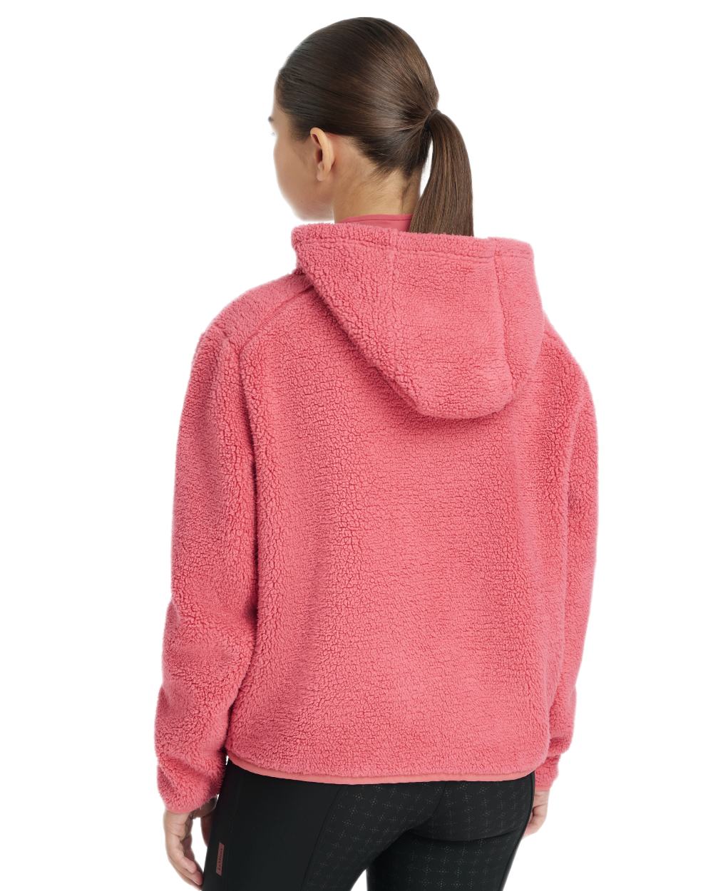 Cranberry coloured LeMieux Young Rider Avalon Hoodie on white background 