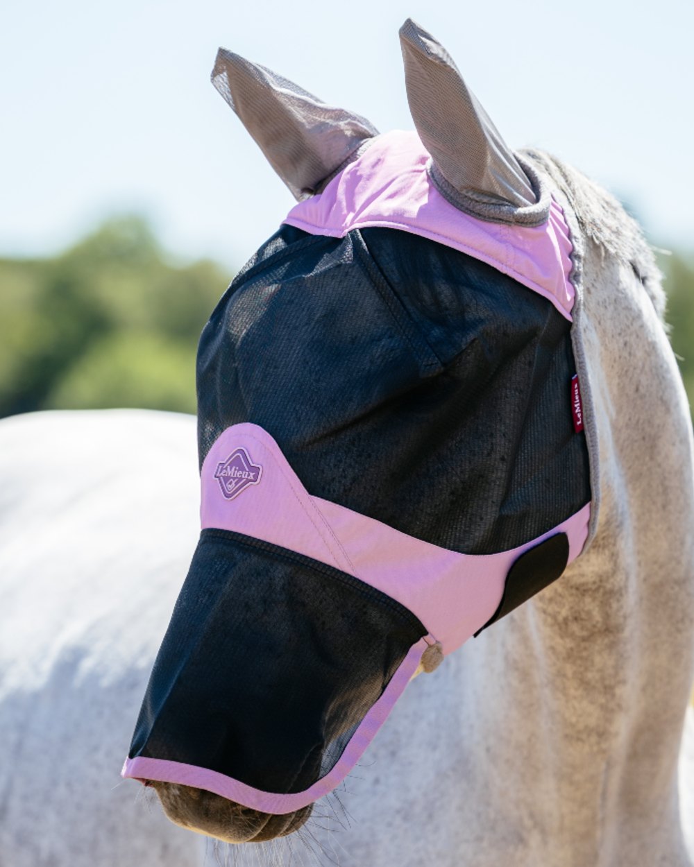 Fondant coloured LeMieux Visor Tek Full Fly Mask on outdoor background 