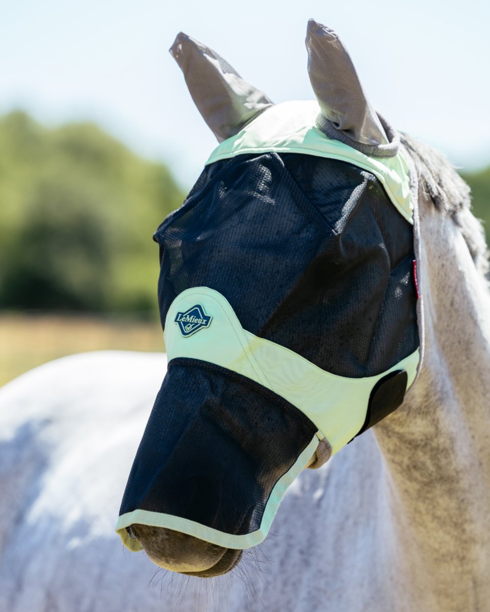 Macaron coloured LeMieux Visor Tek Full Fly Mask on outdoor background 