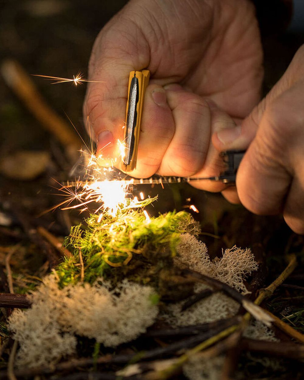 Stainless Steel Coloured Leatherman Signal+ Multi-Tool W/ Nylon Sheath On A Forest Background 