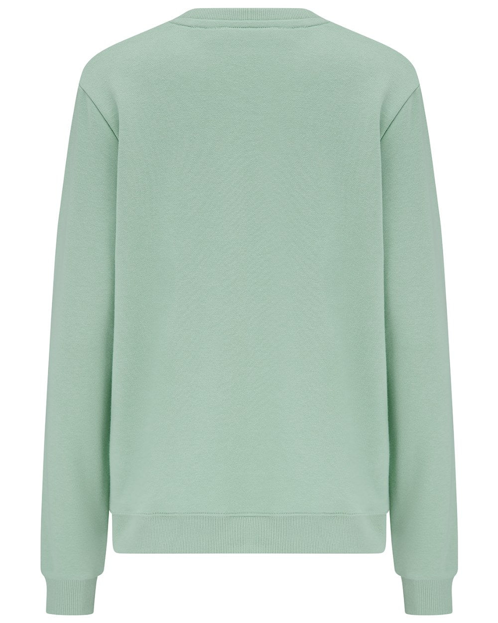 Pastel Green coloured Lighthouse Ladies Seaside Jersey on white background 