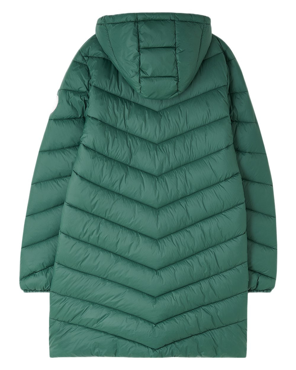 Kale coloured Lighthouse Laurel Ladies Coat on white background 