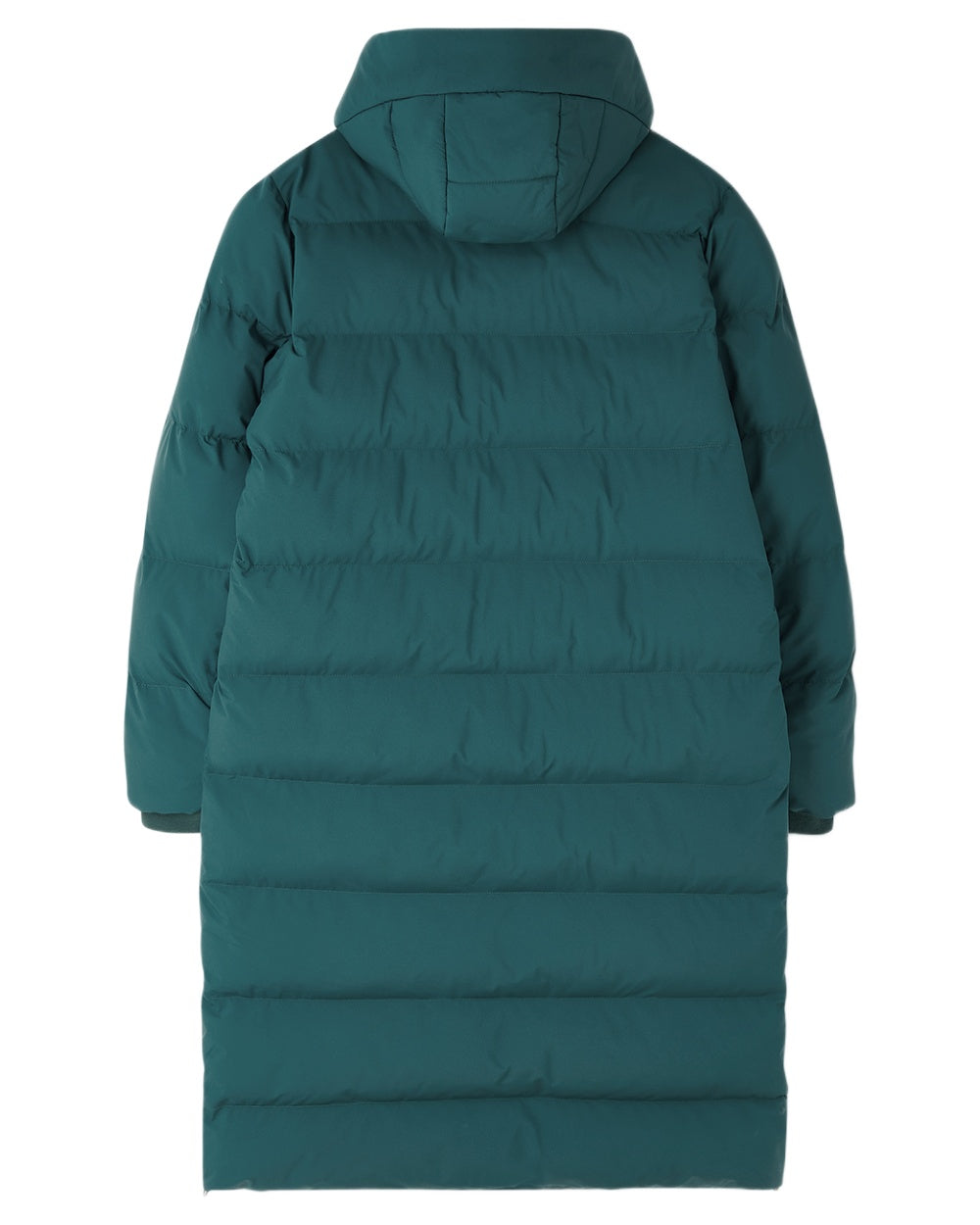 Pine coloured Lighthouse Savannah Coat on white background 