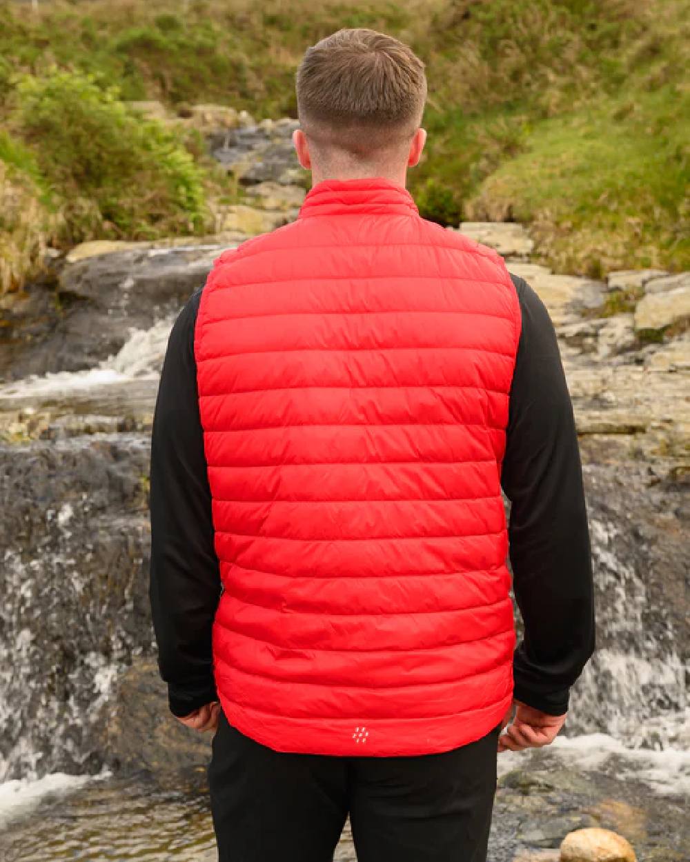 Red coloured Mac In A Sac Mens Alpine Down Gilet on blurry green background 