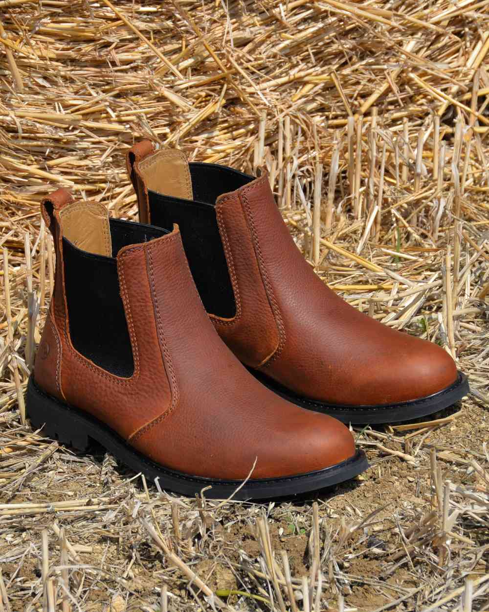 Havana Coloured Orca Bay Mens Brecon Chelsea Boots On A Grass Background 