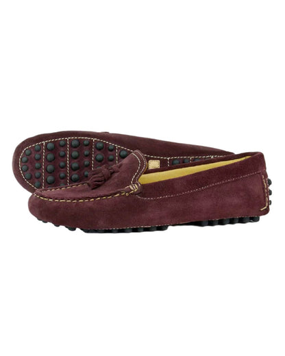 Burgundy Coloured Orca Bay Womens Salcombe Loafers on white background 