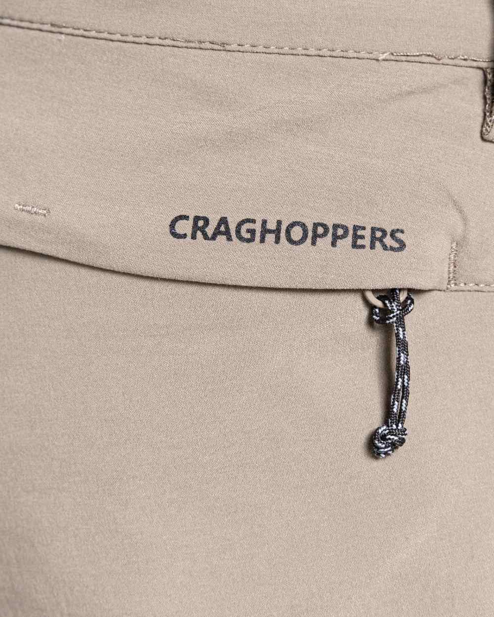 Pebble Coloured Craghoppers Mens NosiLife Pro Active Trousers On A White Background 