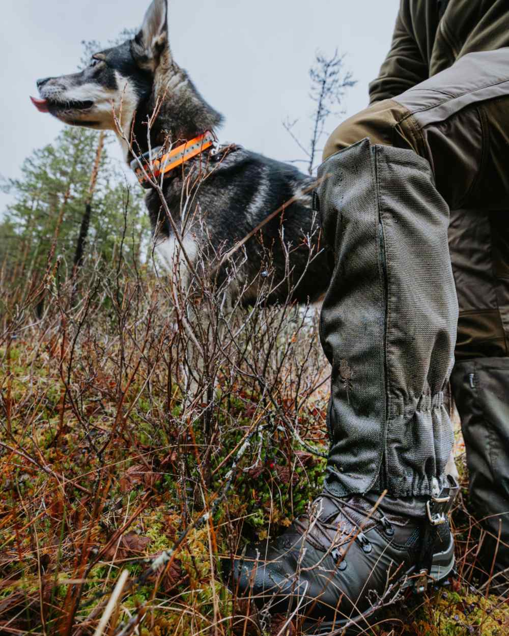Moss Green coloured Pinewood Active 2.0 Gaiters on forest background 