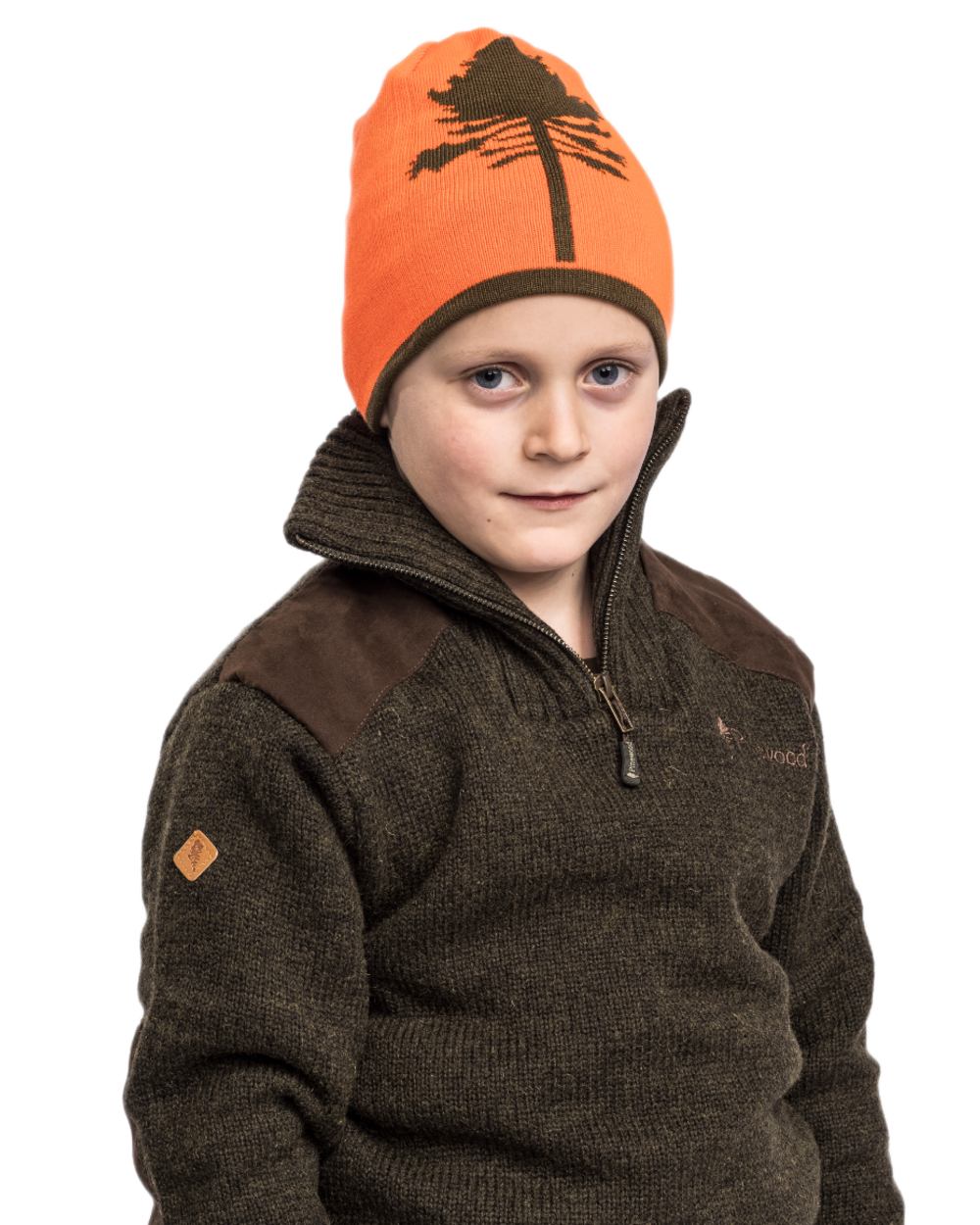 Orange Green coloured Pinewood Childrens Tree Hat on white background 