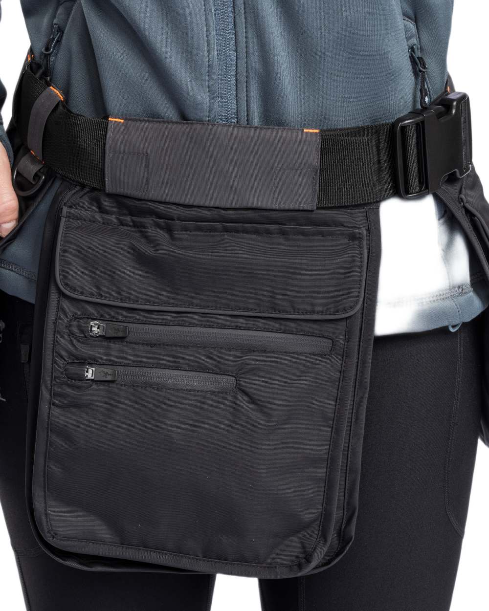 Black Dark Anthracite Coloured Pinewood Dog Sports Utility Belt on white background 