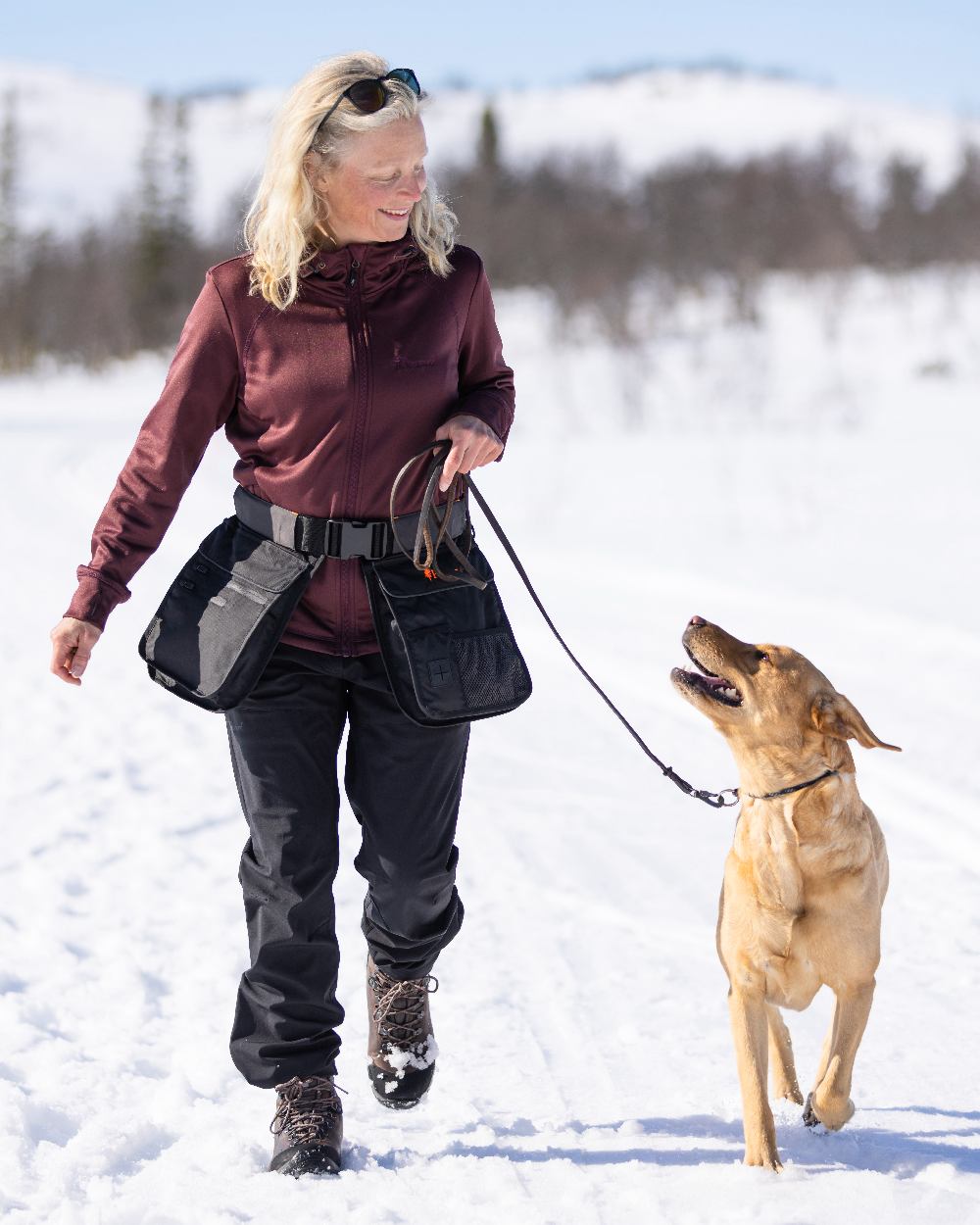 Black Dark Anthracite Coloured Pinewood Dog Sports Utility Belt on snow background 