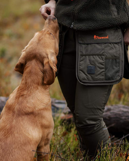 Mossgreen Black Coloured Pinewood Dog Sports Utility Belt on forest background 
