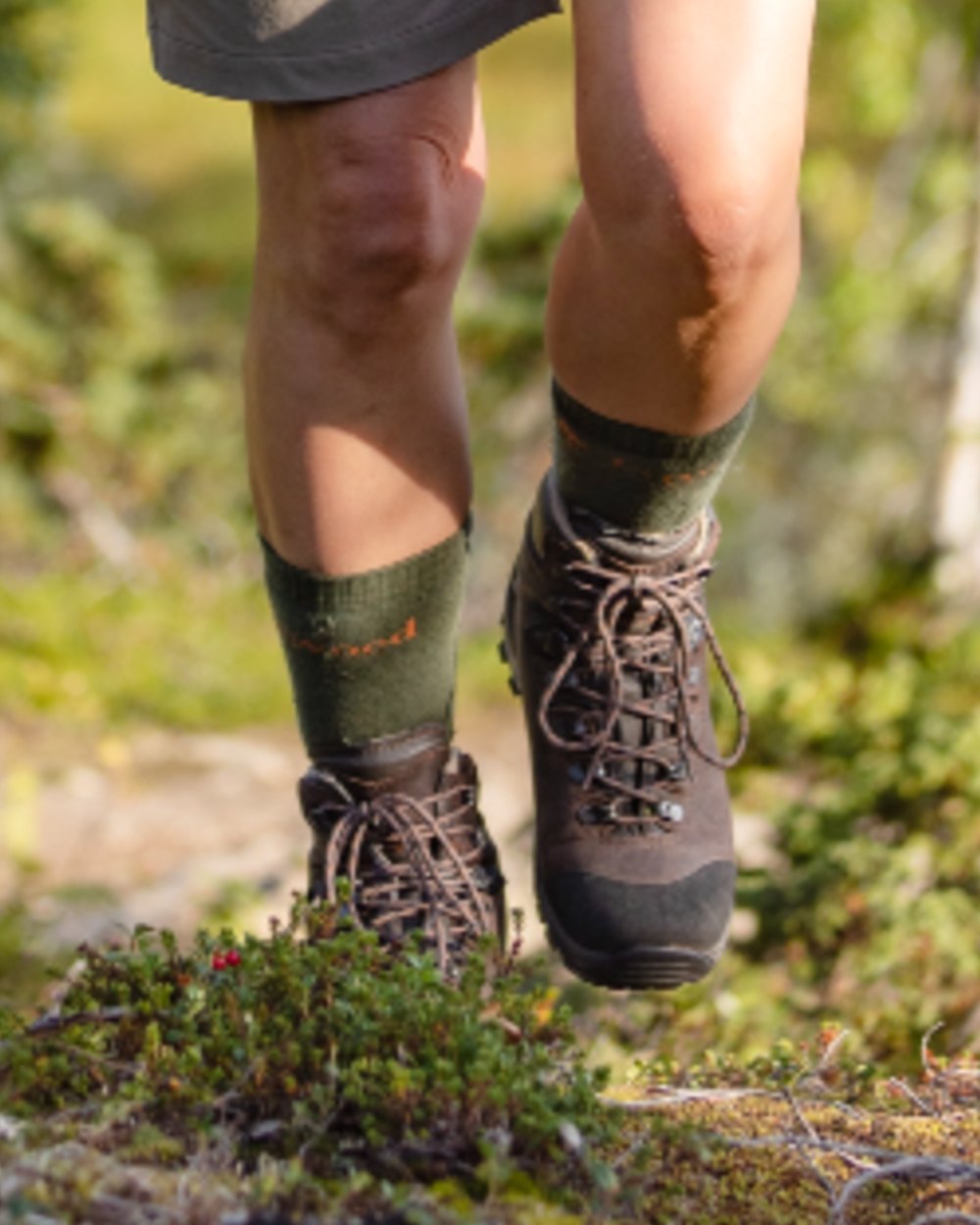 Olive coloured Pinewood Insectsafe Long Socks on outdoor background 