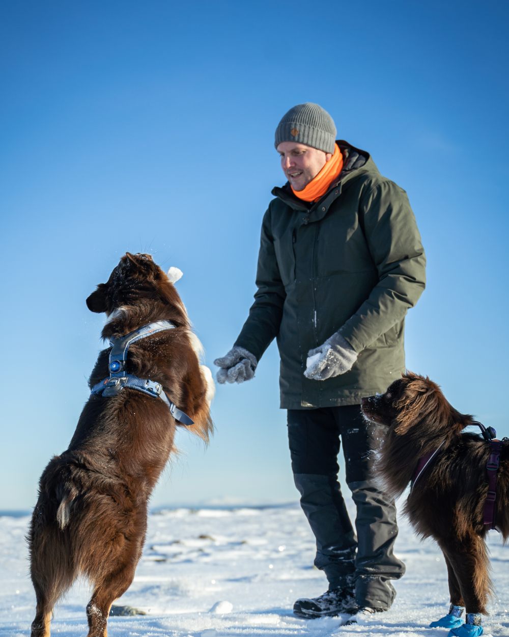 Black Dark Anthracite Coloured Pinewood Mens Finnveden Hybrid Extreme Trousers on outdoor background 