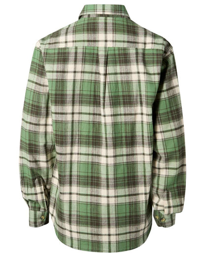 Sage Green Moss Green coloured Pinewood Mens Harjedalen Shirt on white background 