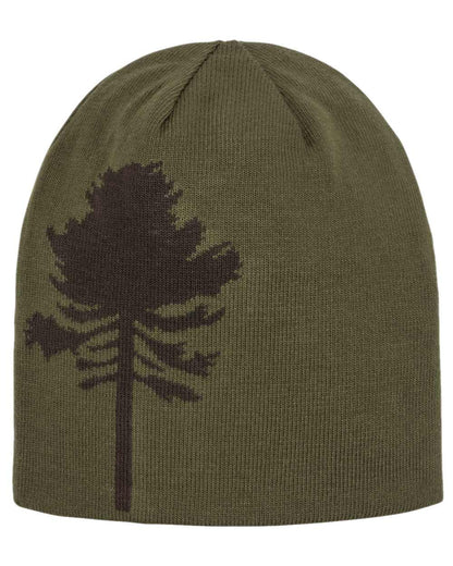Orange Green Coloured Pinewood Tree Hat on white background 