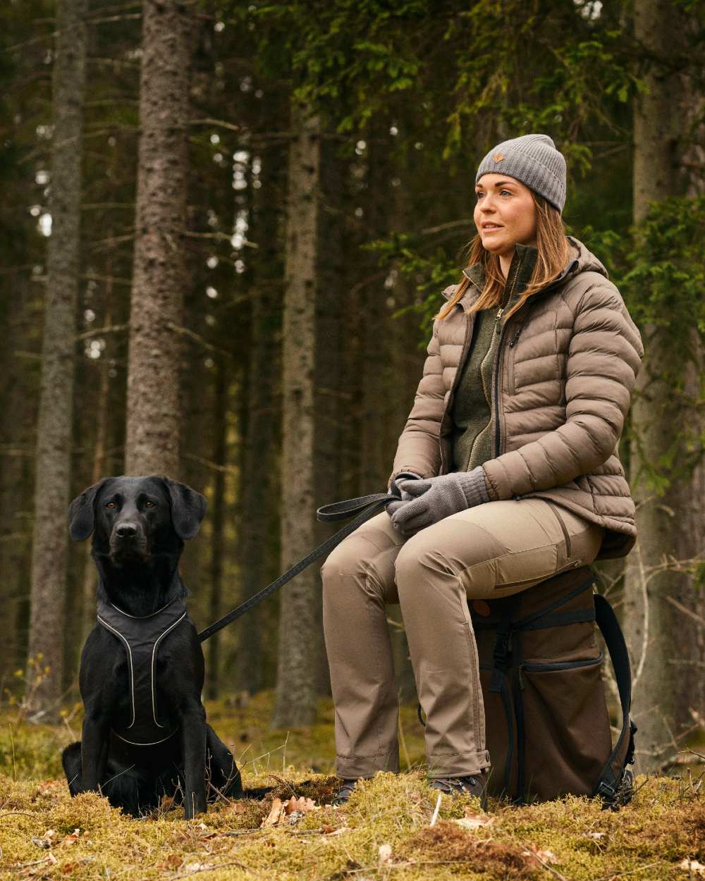 Mole Brown Coloured Pinewood Womens Abisko Brenton Trousers on forest background 