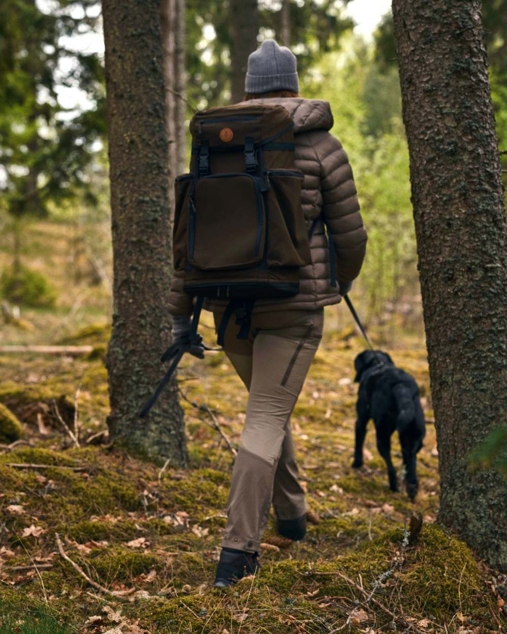 Mole Brown Coloured Pinewood Womens Abisko Brenton Trousers on forest background 