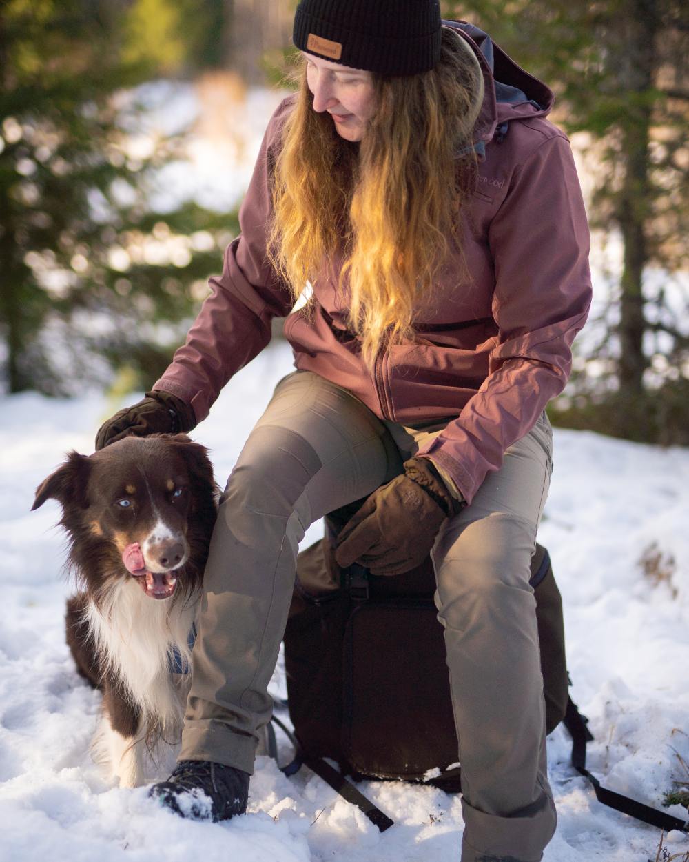Mole Brown Coloured Pinewood Womens Abisko Brenton Trousers on forest background 