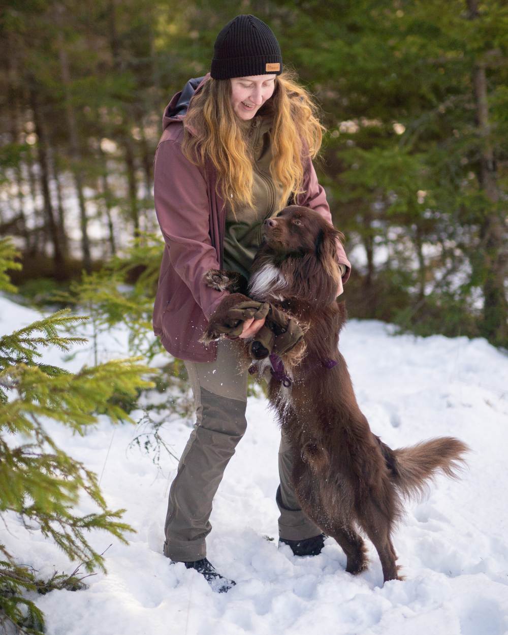 Mole Brown Coloured Pinewood Womens Abisko Brenton Trousers on forest background 