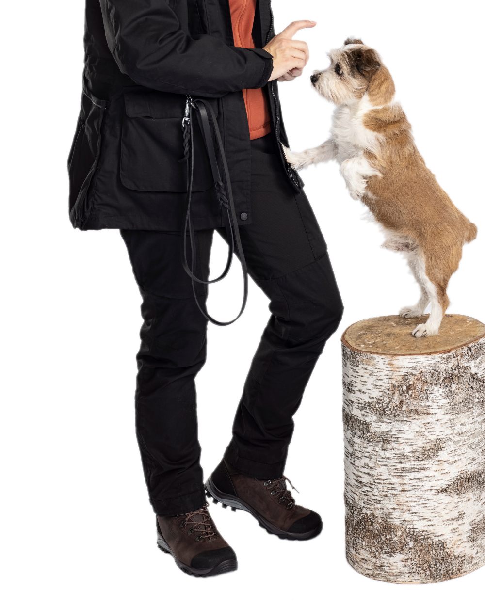 Black Coloured Pinewood Womens Dog Sports Trainer Trousers on white background 