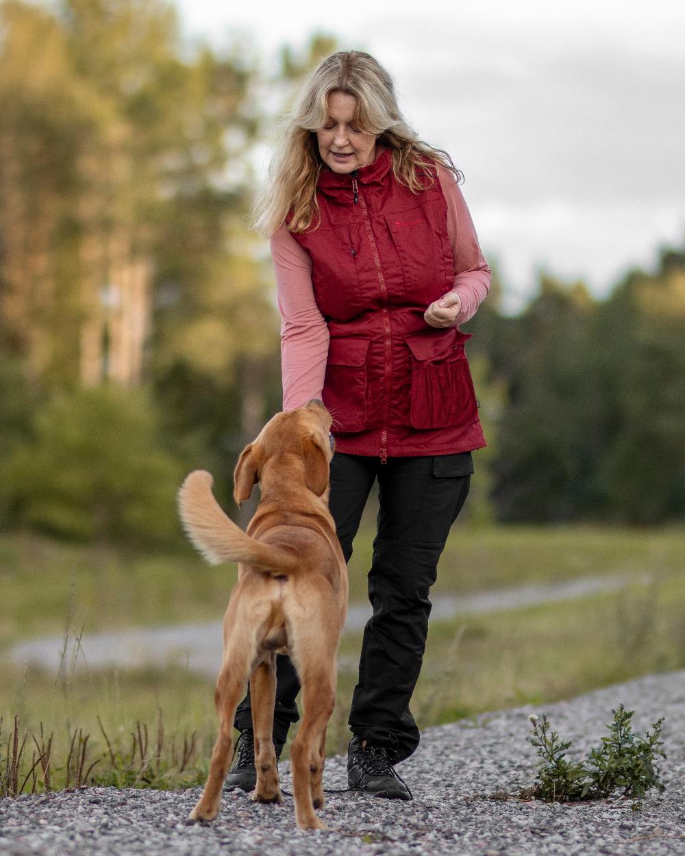 Dark Tomato Dark Red Coloured Pinewood Womens Dog Sports Trainer Vest on outdoor background 