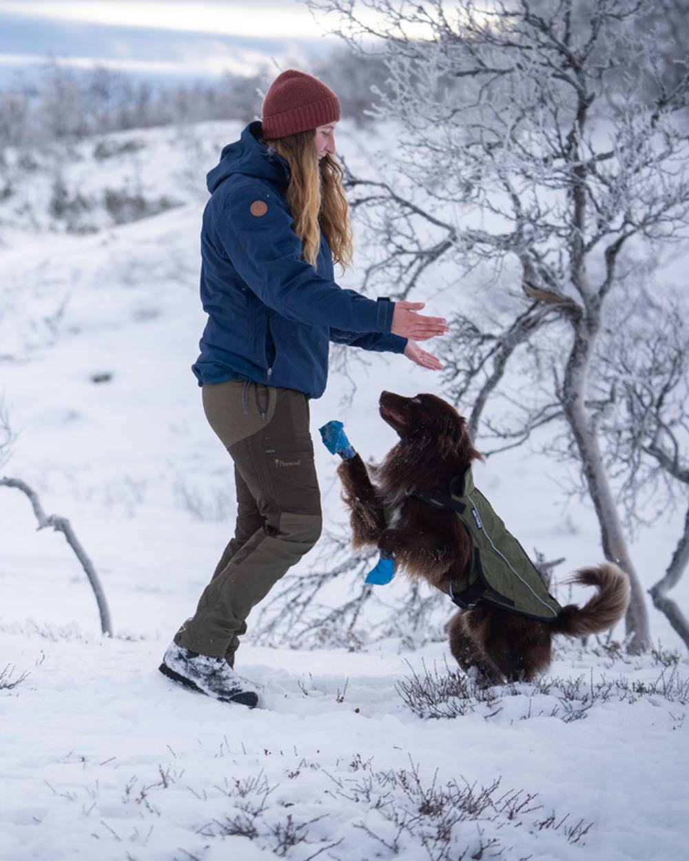 Dark Dive Coloured Pinewood Womens Finnveden Hybrid Extreme Jacket on snow background 