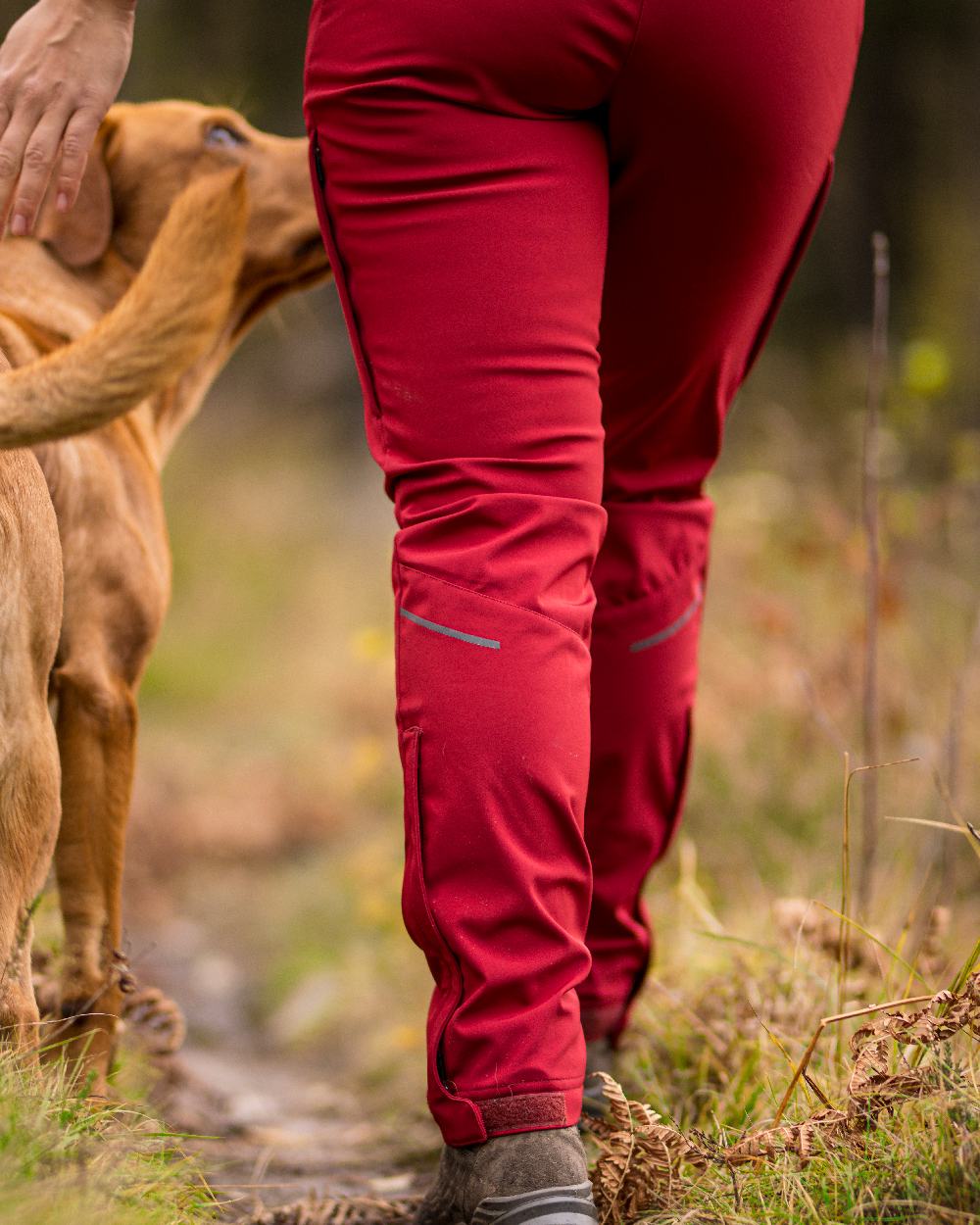 Dark Tomato Coloured Pinewood Womens Wilda Stretch Shell Trousers on outdoor background 