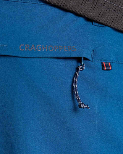Poseidon Blue Coloured Craghoppers Mens NosiLife Pro Active Trousers On A White Background 