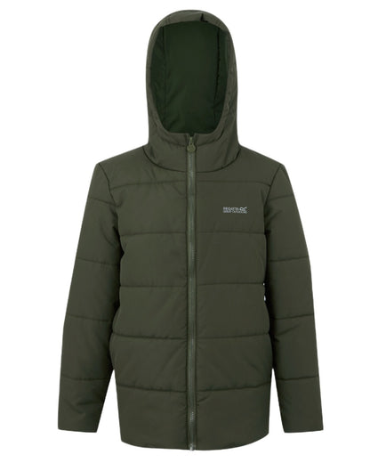 Green Coloured Regatta Childrens Halkner Quilted Jacket on white background 