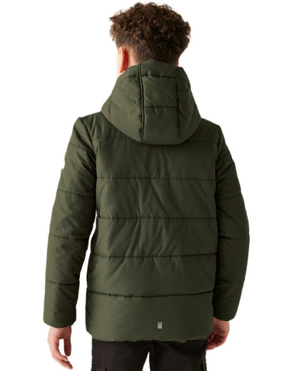 Green Coloured Regatta Childrens Halkner Quilted Jacket on white background 