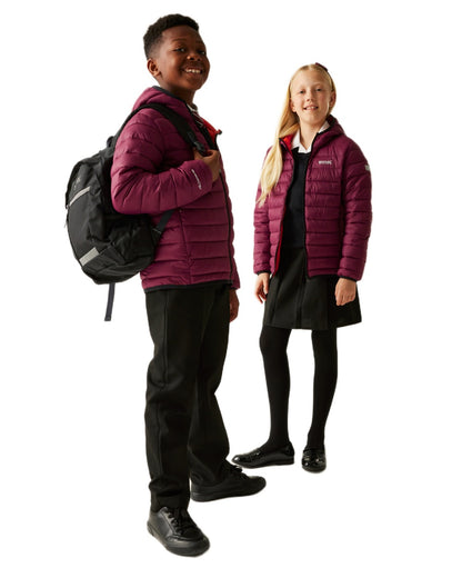 Dark Pimento Coloured Regatta Childrens Hooded Marizion Padded Jacket on white background 
