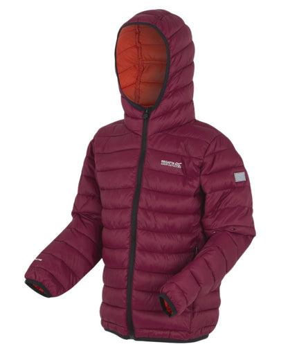 Dark Pimento Coloured Regatta Childrens Hooded Marizion Padded Jacket on white background 