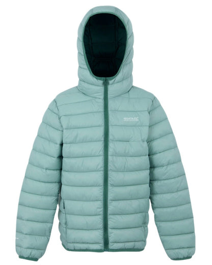 Green Haze Spruce Green Coloured Regatta Childrens Hooded Marizion Padded Jacket on white background 