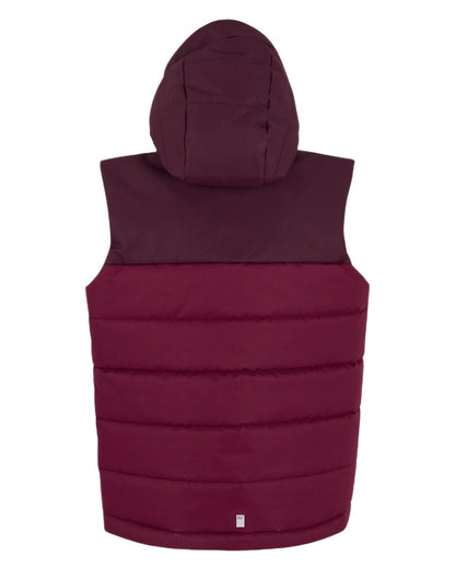 Fig Dark Pimento Coloured Regatta Childrens Lofthouse Bodywarmer Gilet on white background 