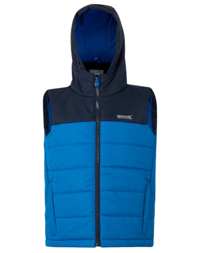 Navy Snorkel Blue Coloured Regatta Childrens Lofthouse Bodywarmer Gilet on white background 