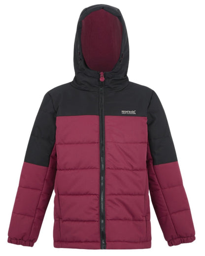 Black Dark Pimento Coloured Regatta Childrens Lofthouse Insulated Jacket on white background 