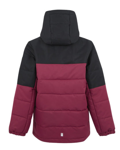 Black Dark Pimento Coloured Regatta Childrens Lofthouse Insulated Jacket on white background 
