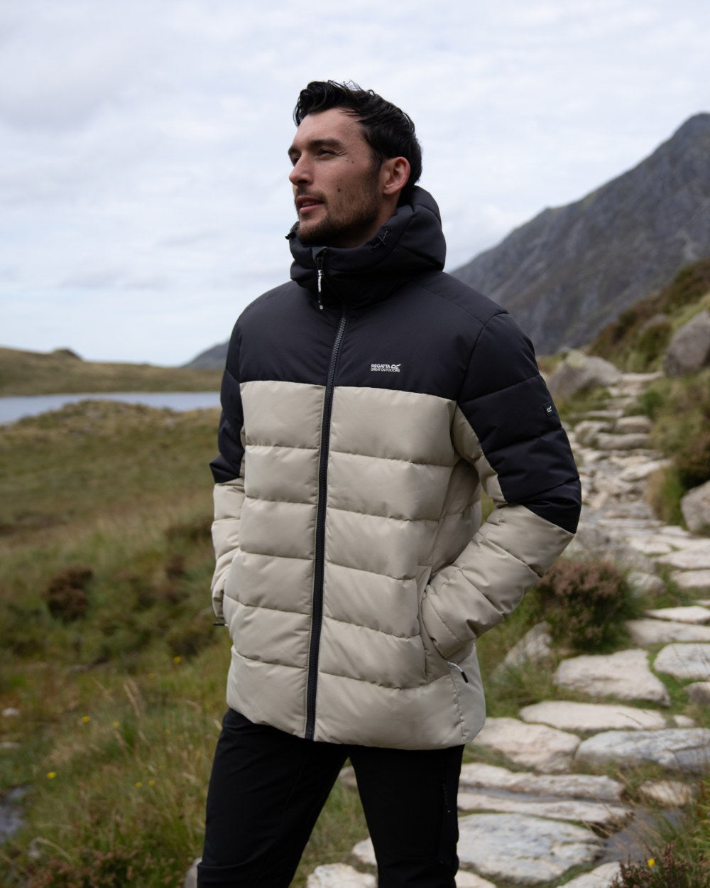 Abbeystone Ash Coloured Regatta Mens Aldthorn Padded Jacket on mountain background 
