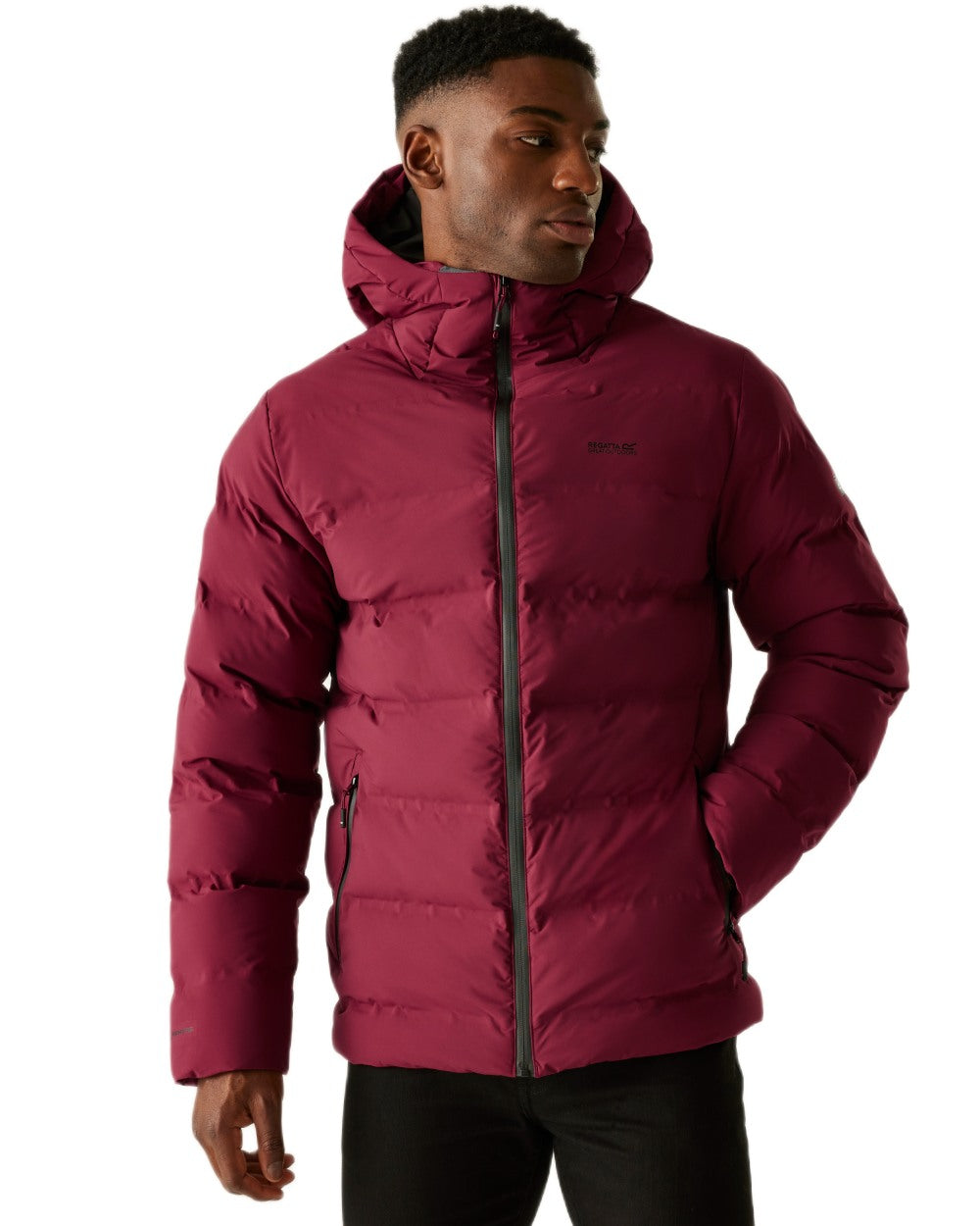 Dark Maroon Coloured Regatta Mens Altoro Thermal Padded Jacket on white background 