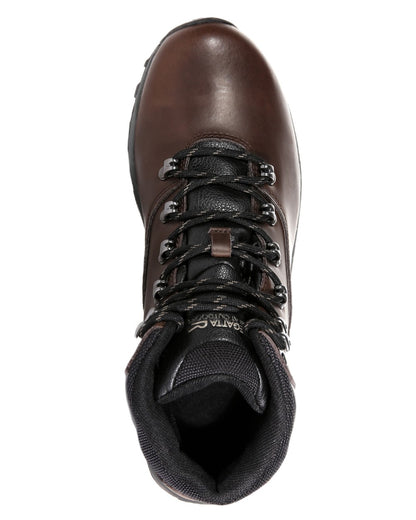 Brown Coloured Regatta Mens Bainsford Waterproof Walking Boots on white background 
