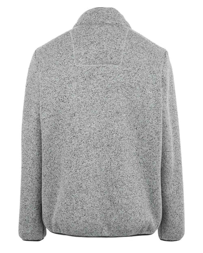 Silver Grey Coloured Regatta Mens Barlee Full Zip Fleece Jacket on white background 
