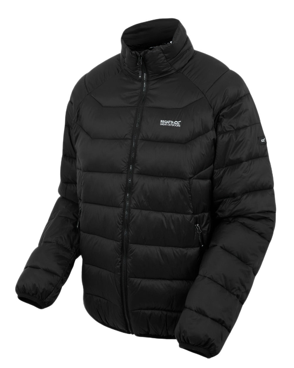 Black Coloured Regatta Mens Dalent Padded Jacket on white background 