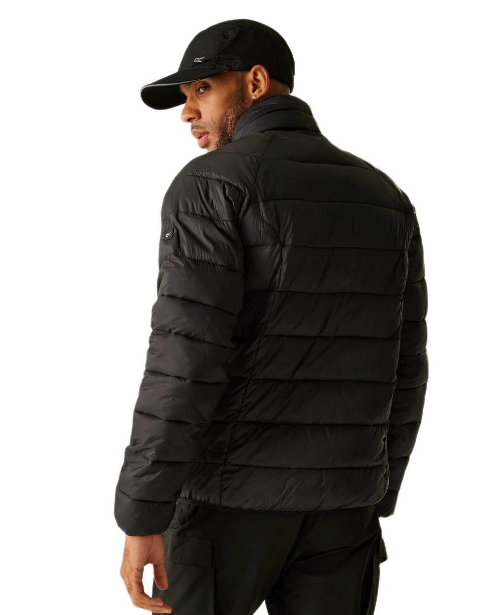 Black Coloured Regatta Mens Dalent Padded Jacket on white background 