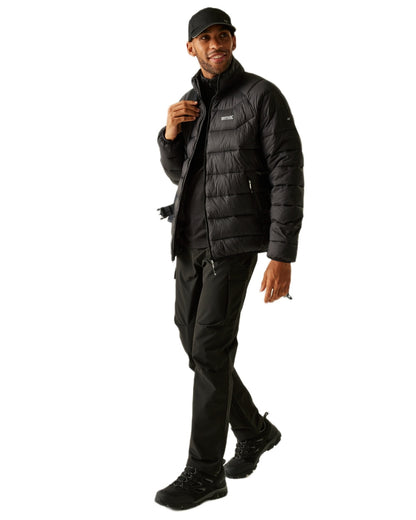 Black Coloured Regatta Mens Dalent Padded Jacket on white background 