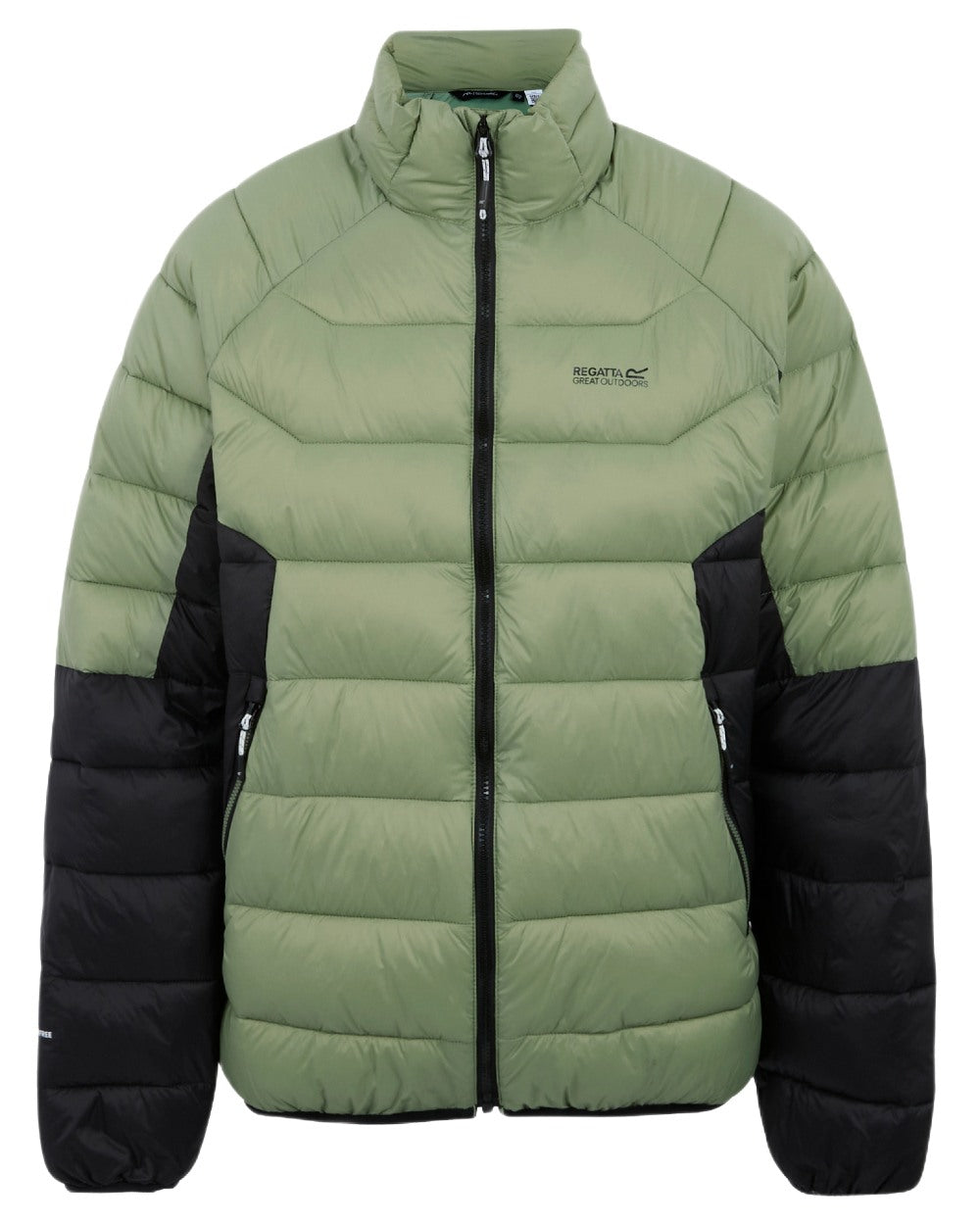 Oil Green Black Coloured Regatta Mens Dalent Padded Jacket on white background 