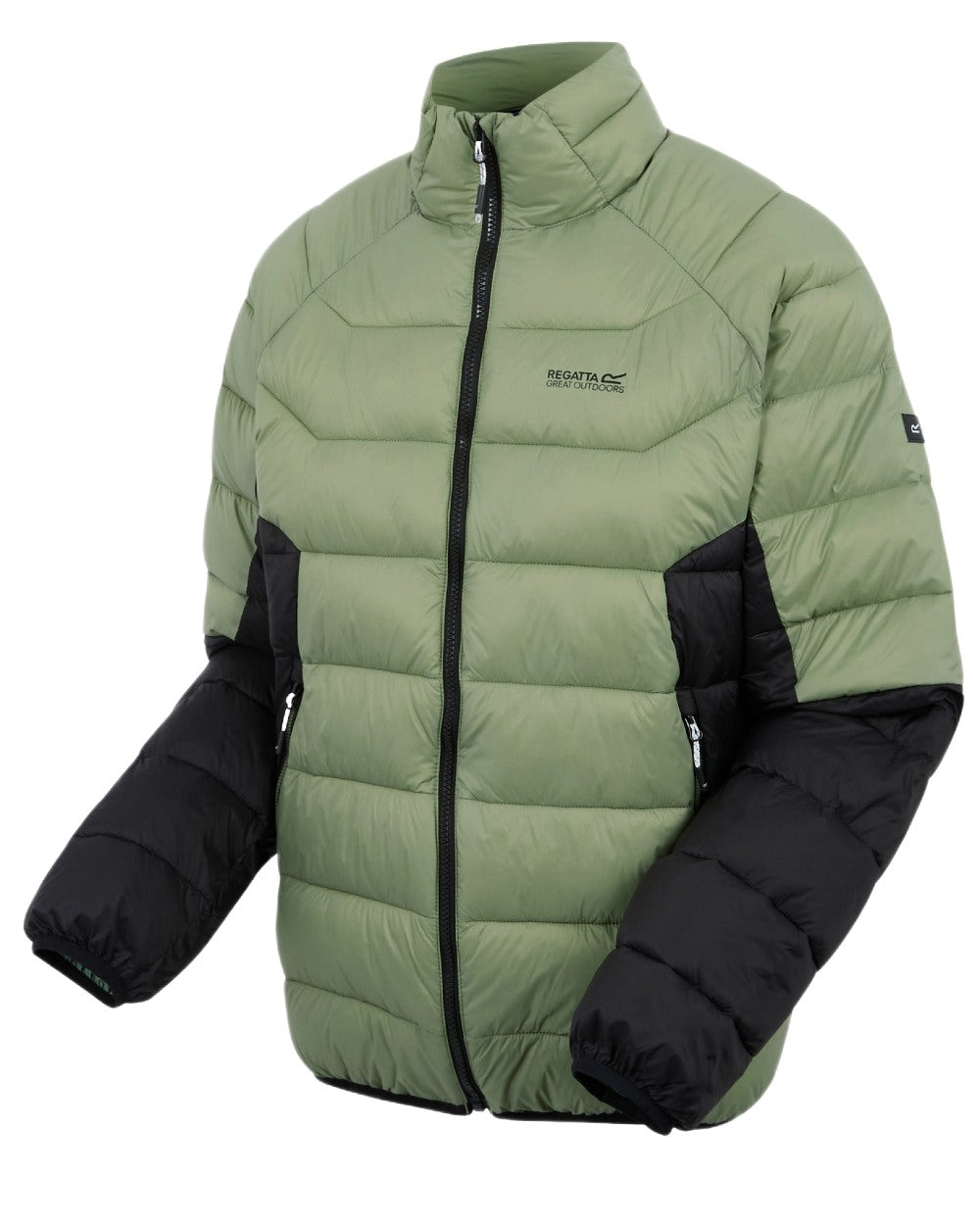 Oil Green Black Coloured Regatta Mens Dalent Padded Jacket on white background 